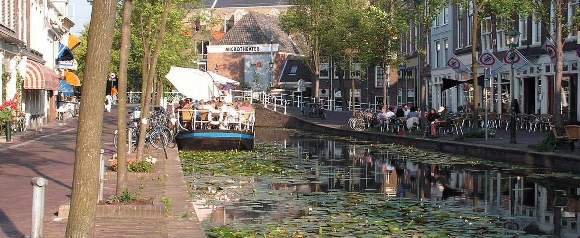 Tour de Kinderdijk y los Molinos Delfshaven, Rotterdam y Delft