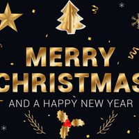 ¡FELIZ NAVIDAD Y FELICES FIESTAS!