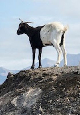 Excursion en España - Océano Atlántico