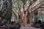 Descubriendo Gran Canaria
