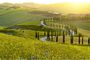 Tour del Chianti