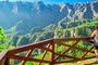 La Palma Tour y la Caldera de Taburiente