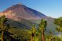 Visita al Teide y su mar de nubes