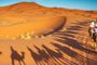 Safari por el Desierto en 4X4