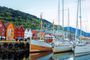 Bergen ruta panorámica