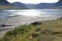 Bahía de Isafjordur y Fiordos del Oeste