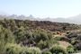 Visita al Teide y su mar de nubes