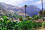 Gran Canaria Autentica, Café de Agaete y Vegueta