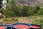 Gran Canaria Autentica, Café de Agaete y Vegueta