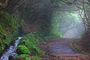 Levada Vale Paraíso Naturaleza & Tradición - Miniatura 1