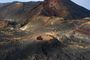 La Palma de Fuego y Lava