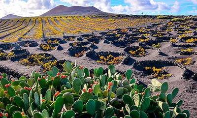 Lanzarote Sur Parque Nacional de Timanfaya y Sur de la Isla