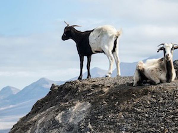 Excursion en España - Océano Atlántico