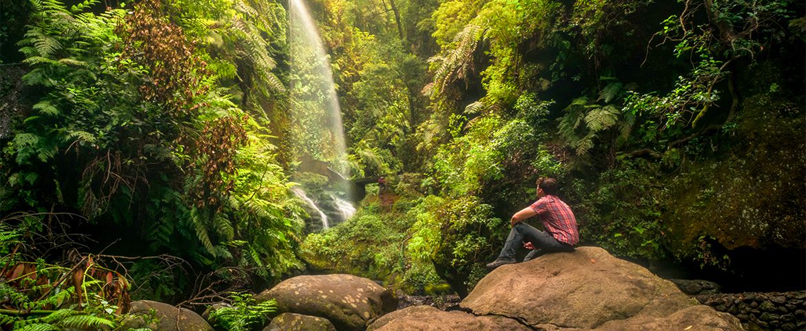 La Palma Bellezas del Norte