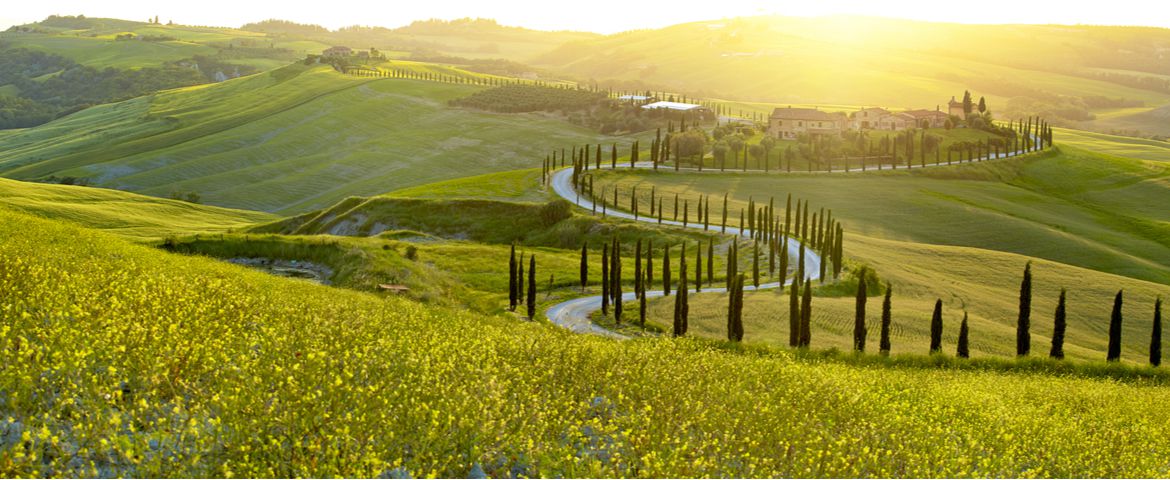 Tour del Chianti
