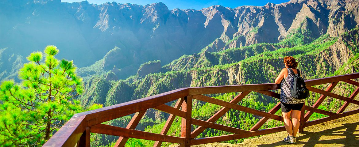 La Palma Tour y la Caldera de Taburiente