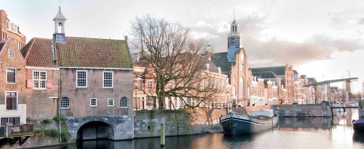 Tour de Kinderdijk y los Molinos Delfshaven, Rotterdam y Delft