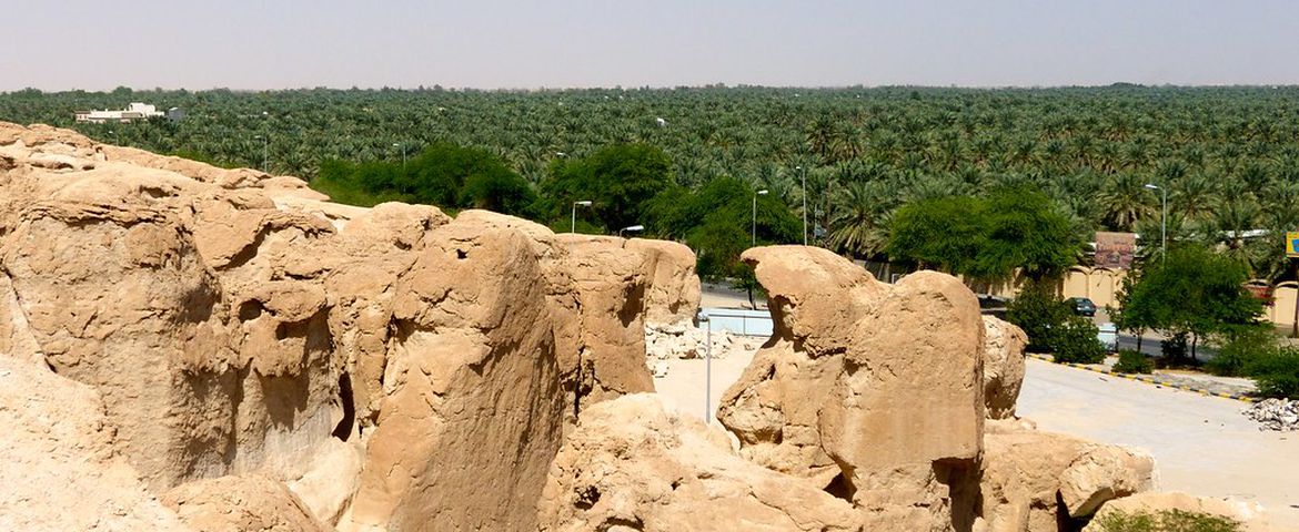 Excursión al Oasis Al-Ahsa