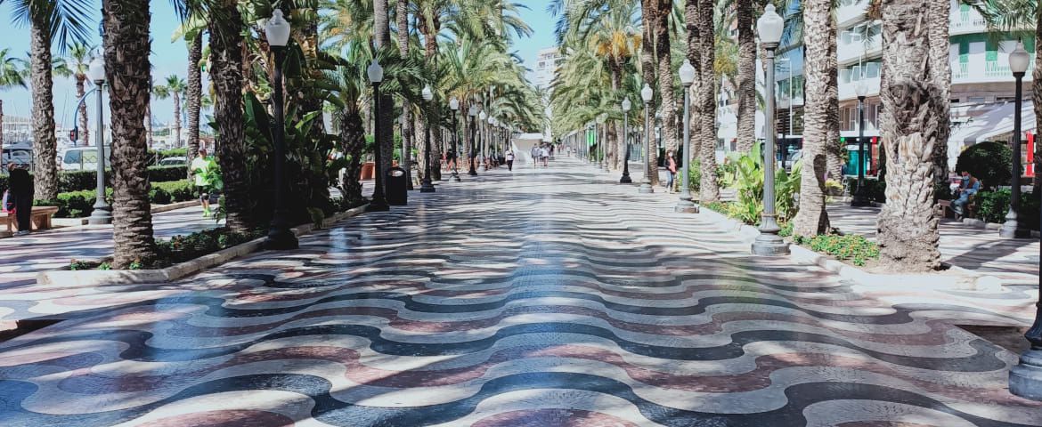 Alicante panorámico y centro histórico