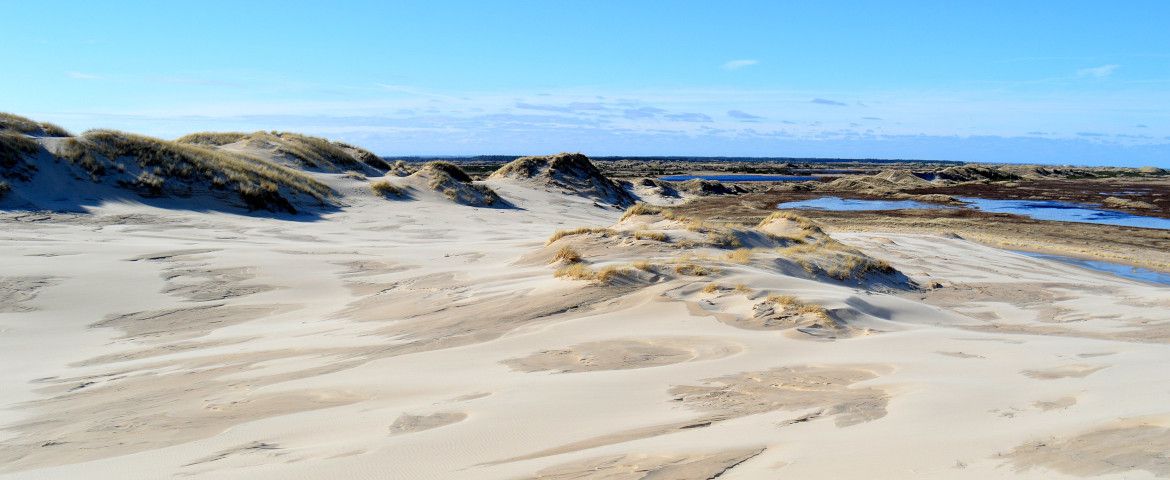 Panorámica de la Ciudad de Skagen