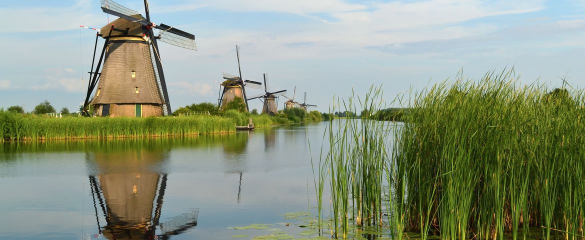 Tour de Kinderdijk y los Molinos Delfshaven, Rotterdam y Delft