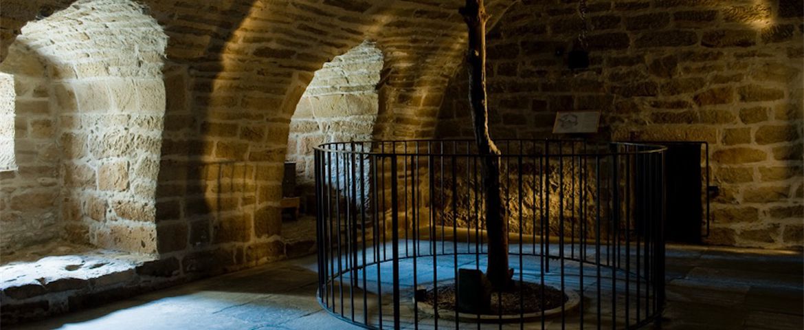 Credit: Guillaume de Laubier