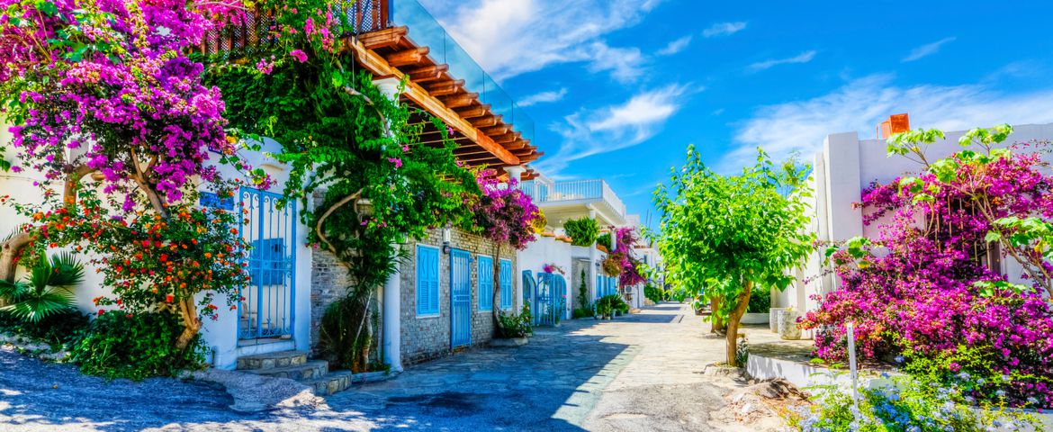 Descubriendo Bodrum