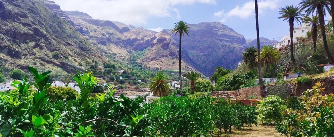 Gran Canaria Autentica, Café de Agaete y Vegueta