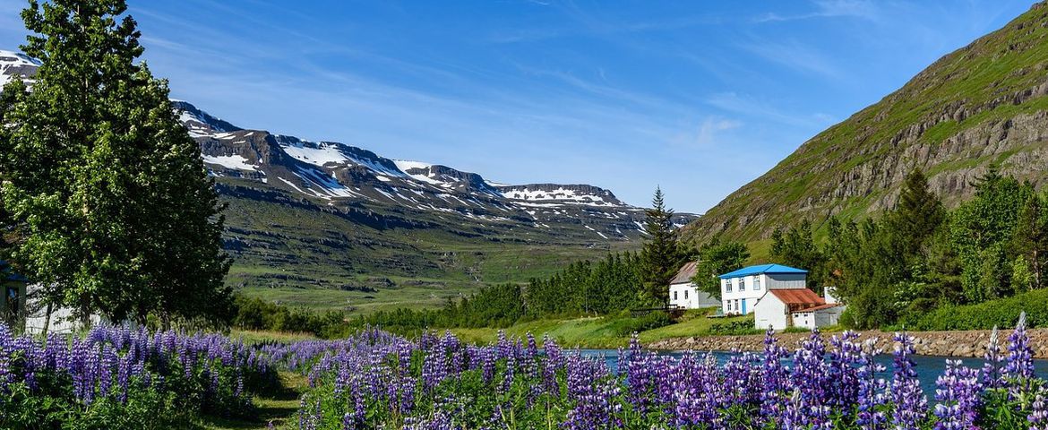El este de Islandia y el cañón de Studlagil