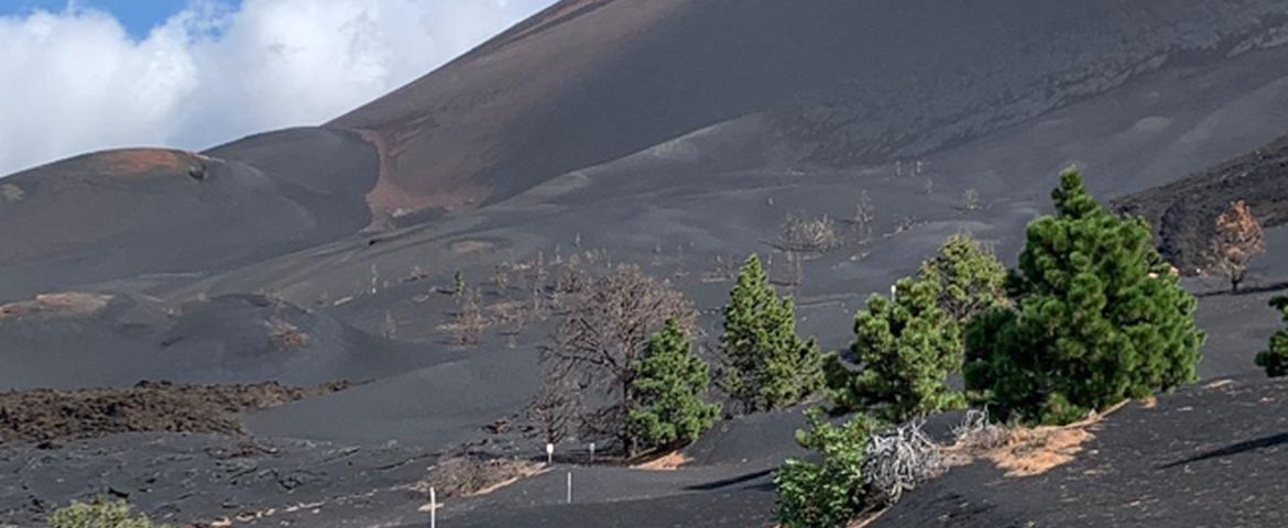 La Palma de Fuego y Lava