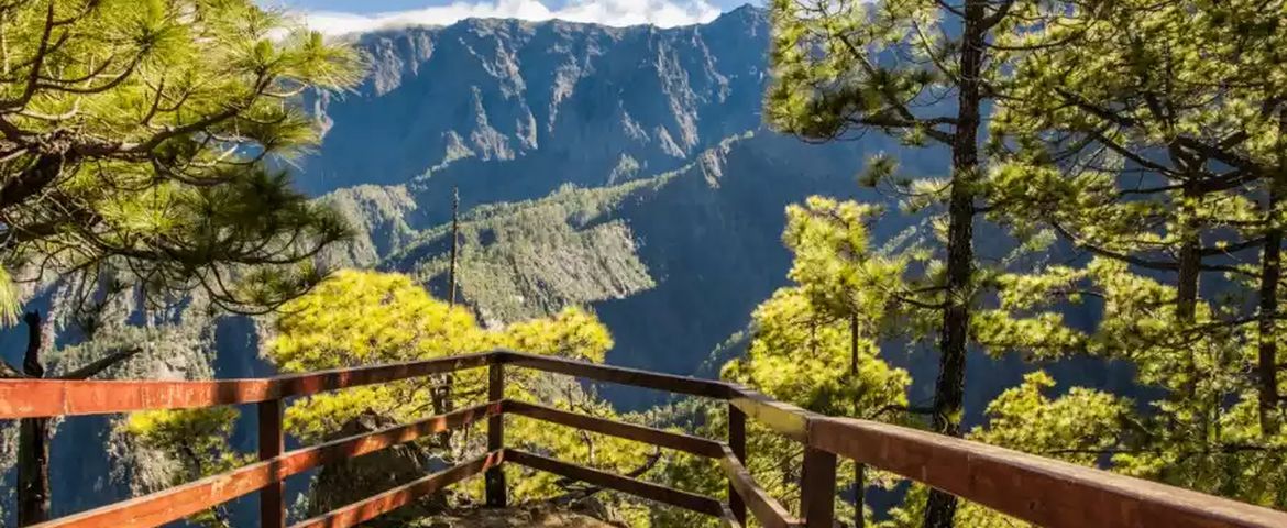 Visita Panoramica Volcán de Tajogaite