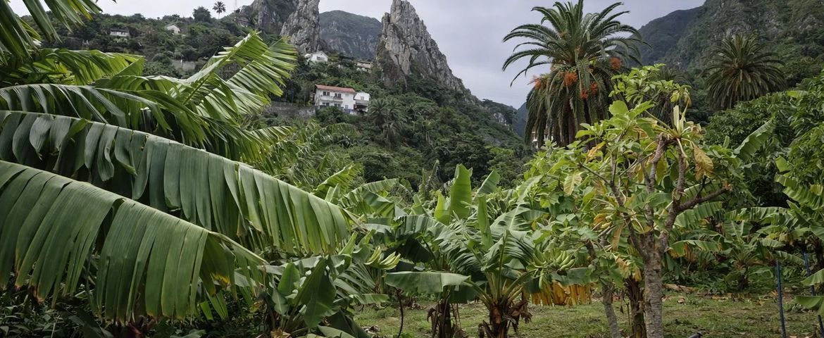 Visita a La Gomera, un paraiso natural