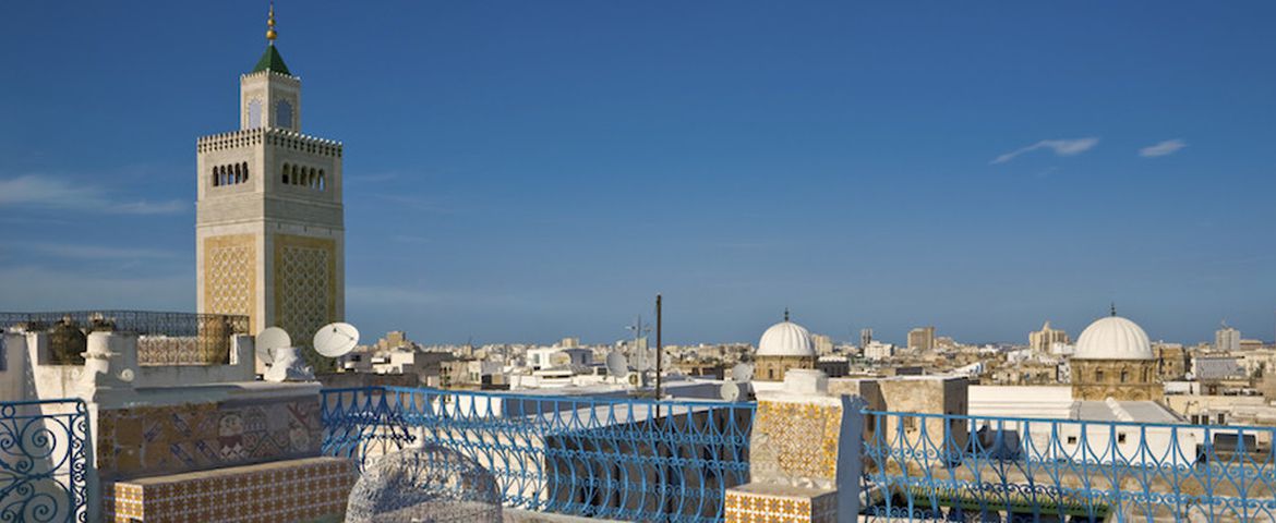 Panorámica de Cartago, Los Zocos, Medina y Sidi Bou Said