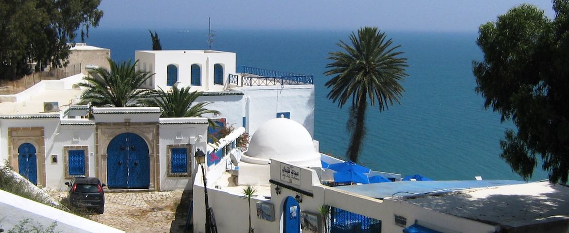 Panorámica de Cartago, Los Zocos, Medina y Sidi Bou Said - Imagen 1