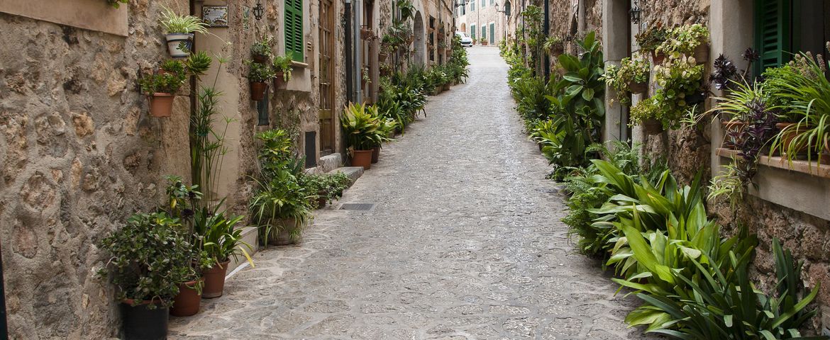 Panorámicas de Palma y Valldemosa