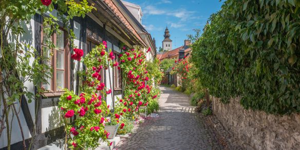 Caminando por Visby