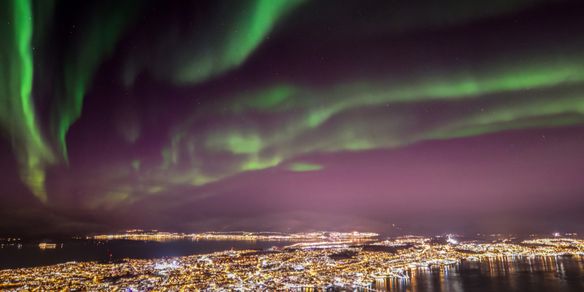 Tromsø City Tour y Centro Polaria