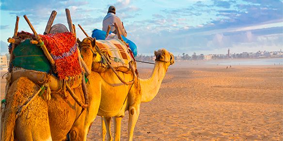 Agadir história y esencia bereber