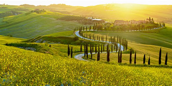 Tour del Chianti