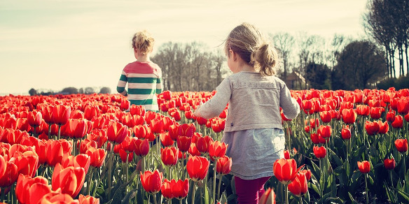 Descuentos excursiones niños